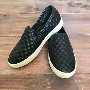 Steve Madden Eccentrcq shoes